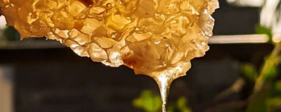 Crystallisation of Honey - Why does Honey Crystallise and what does it mean?
