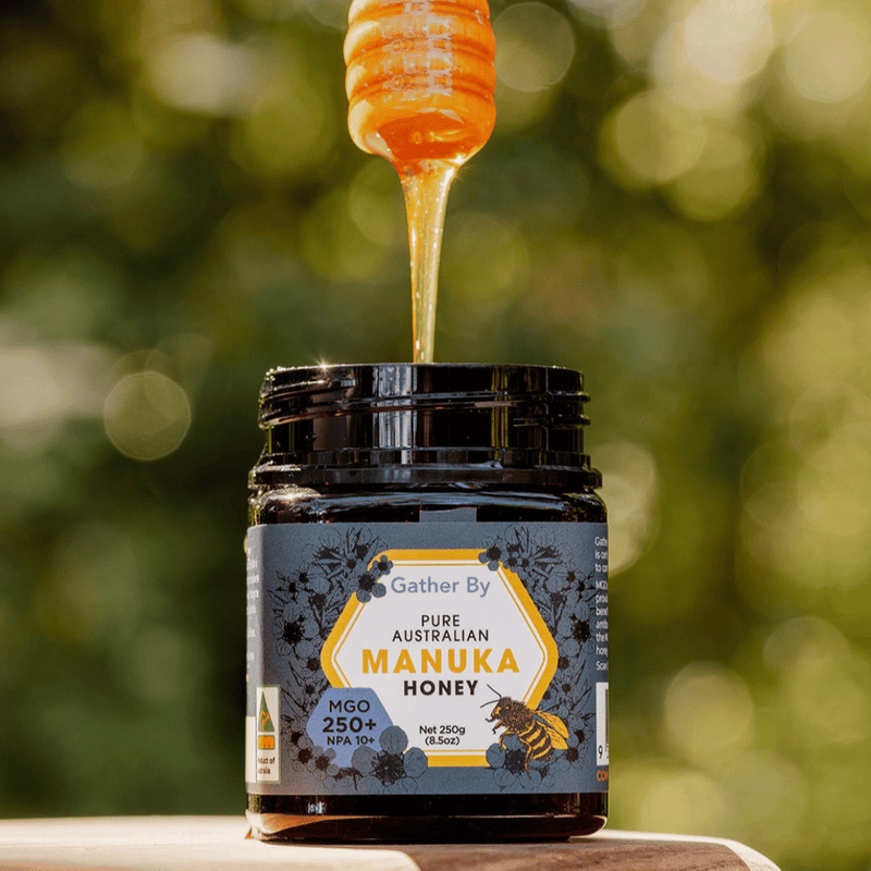 Best Australian Manuka Honey MGO 250+